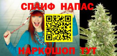 mdpv Кандалакша