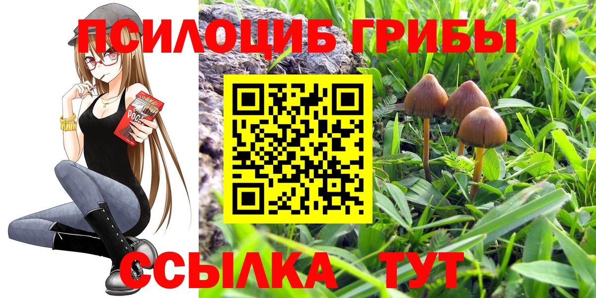Псилоцибиновые грибы прущие грибы Курчатов